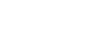 Borusan Logo