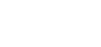 Ngn ınt Logo