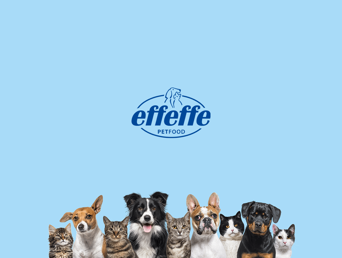 Effeffe Pet Food Clockwork K