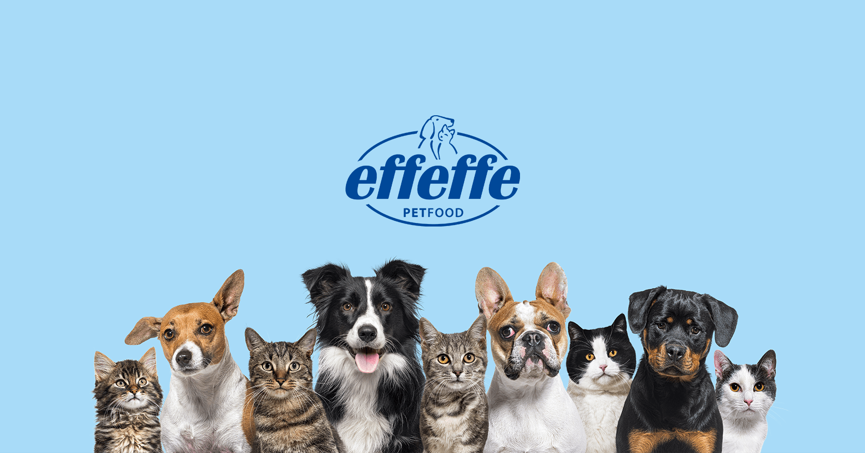 Effeffe Pet Food Clockwork B