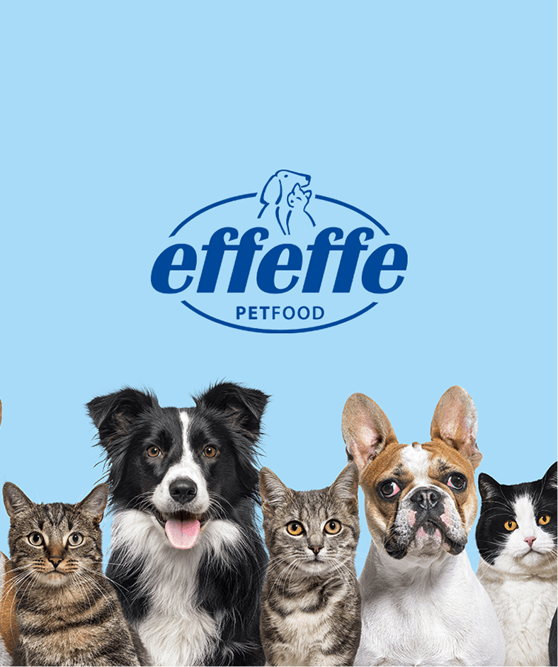 Effeffe Pet Food sosyal medya içerik stratejisi ve post tasarımı tanıtım bannerı