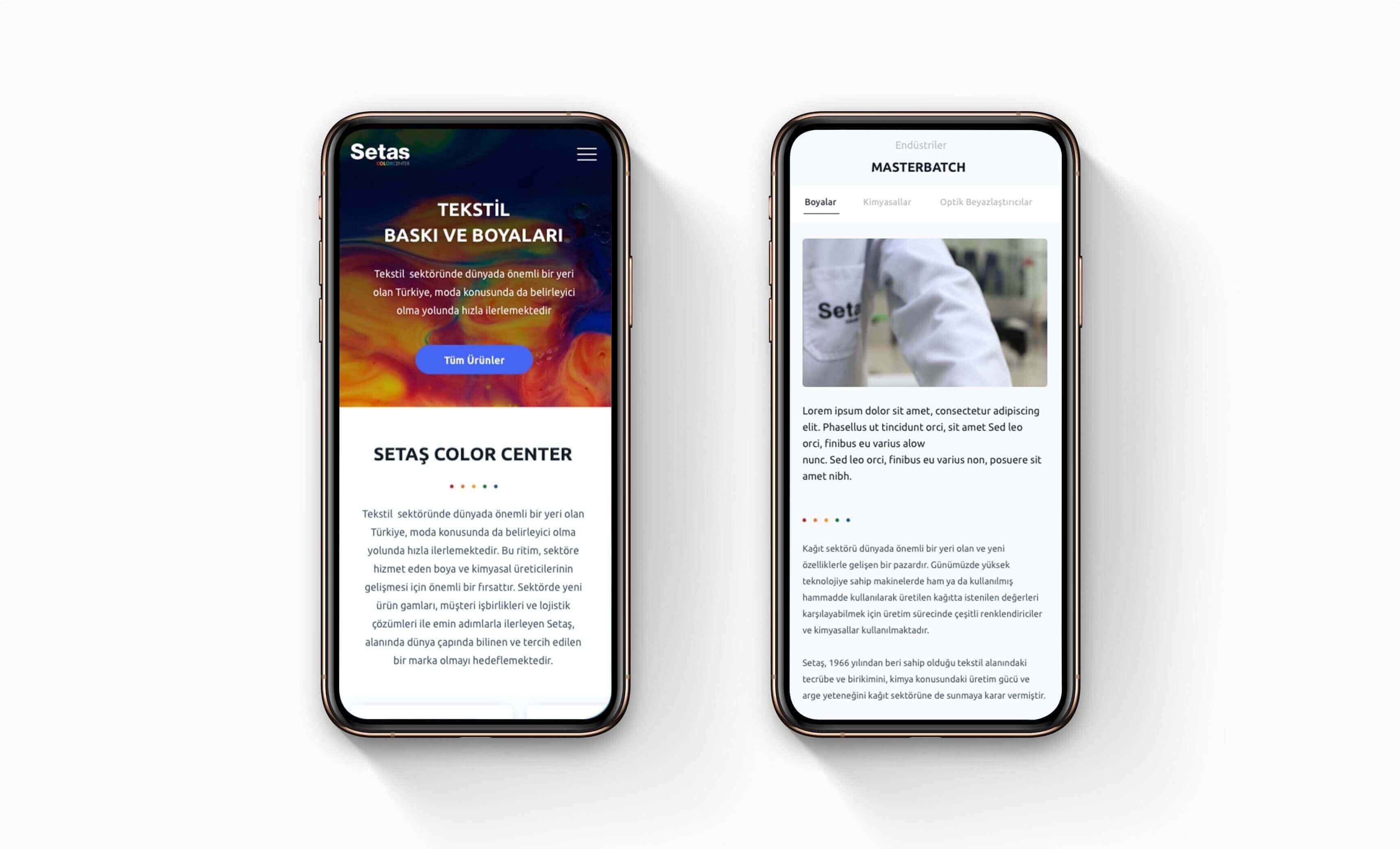 Setaş Color Center kurumsal grup web sitesi arayüz tasarımı ekran görüntüsü - 2