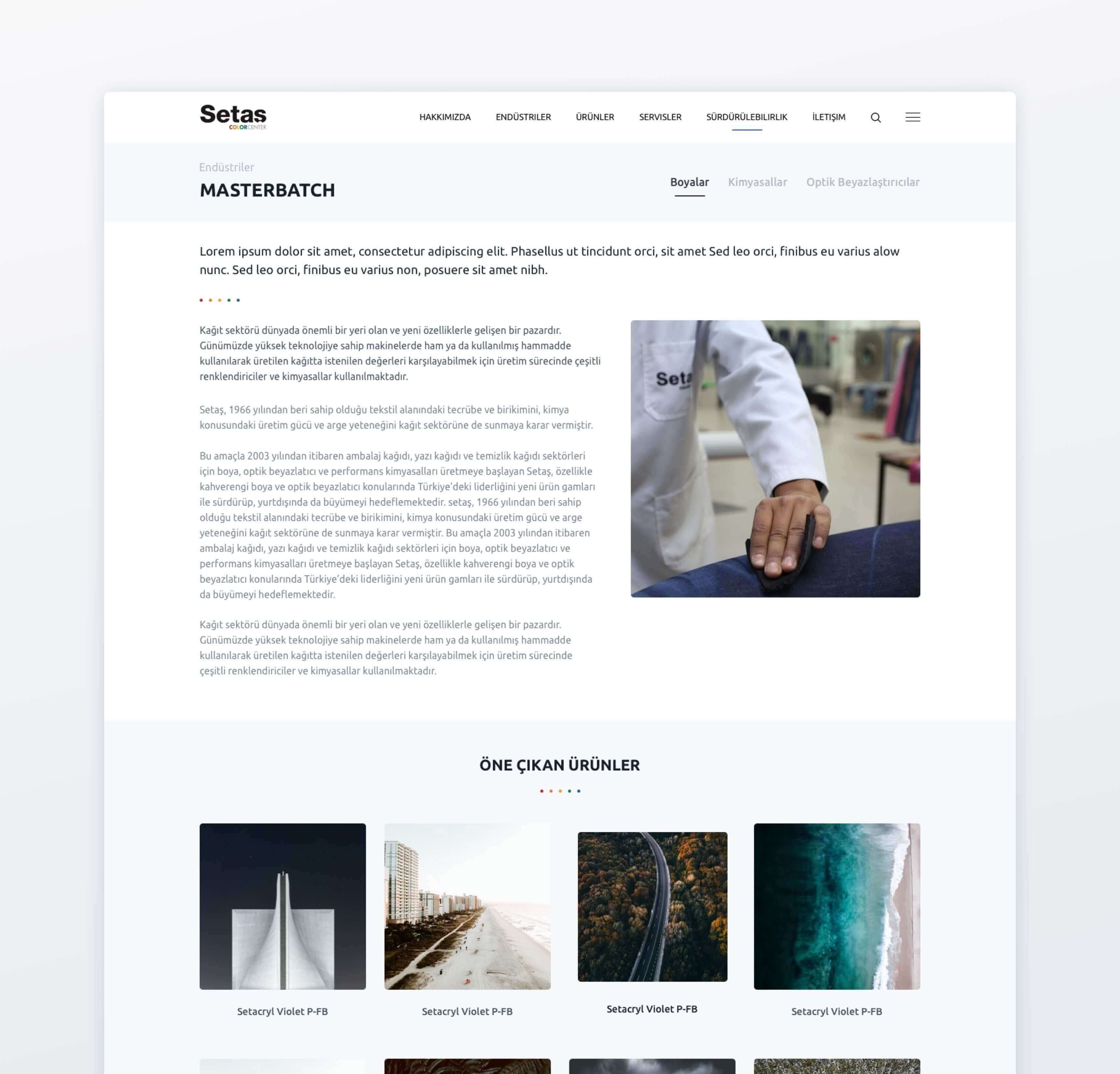 Setaş Color Center kurumsal grup web sitesi arayüz tasarımı ekran görüntüsü - 3